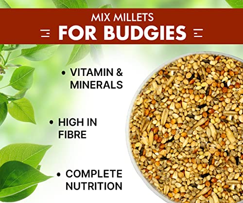 Boltz Bird Food for Budgies
