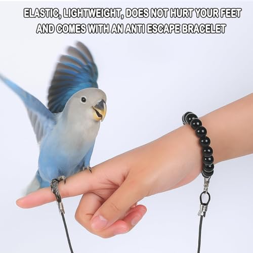 300 cm Bird Harness,
