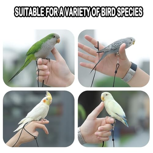 300 cm Bird Harness,