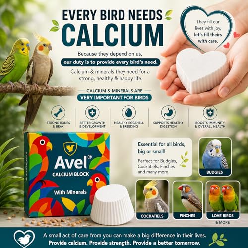 Avel Natural Mineral Calcium Block