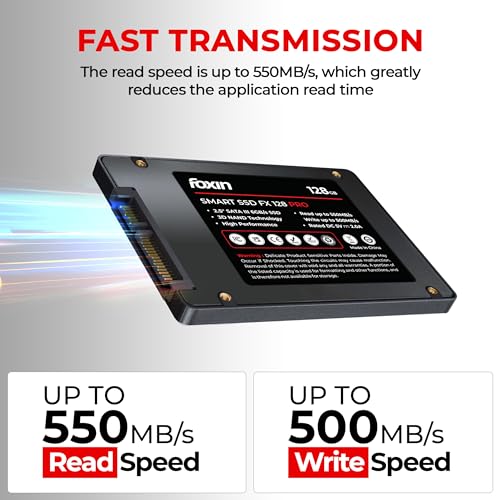 Foxin 128 GB Internal SSD