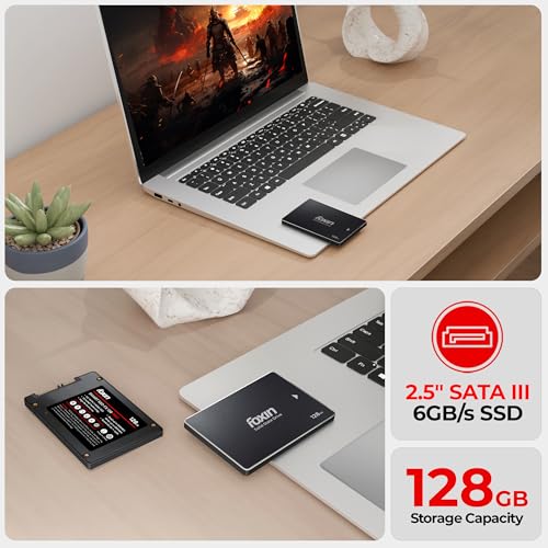Foxin 128 GB Internal SSD