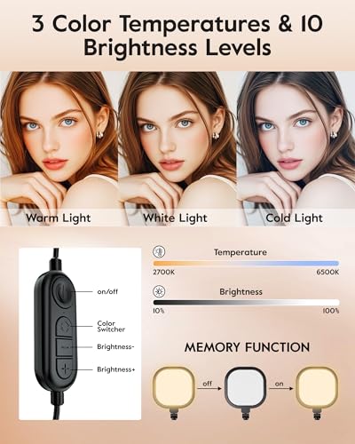 Desktop Video Conference Light