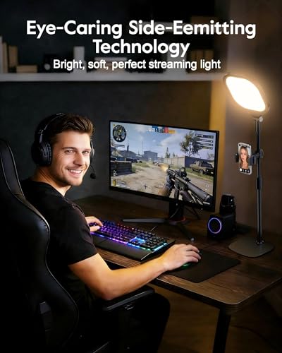 Desktop Video Conference Light