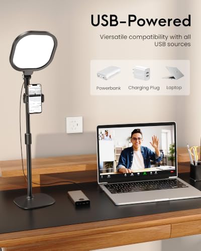 Desktop Video Conference Light