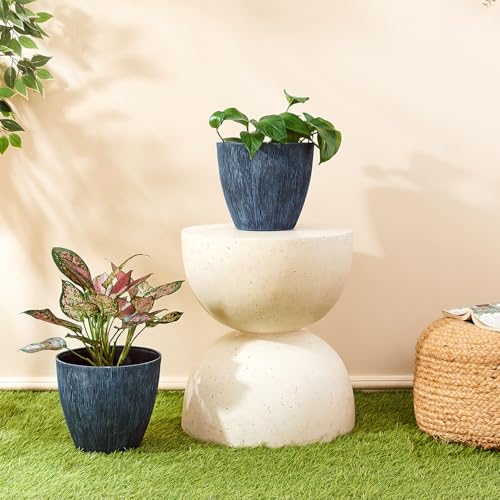 Amazon Brand- Solimo Indoor