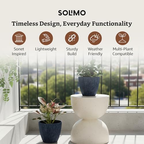 Amazon Brand- Solimo Indoor
