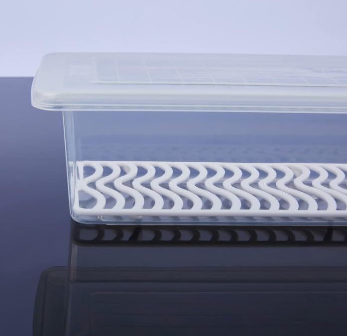 LEMBOSE Fridge Storage Containers