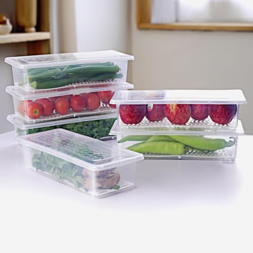 LEMBOSE Fridge Storage Containers