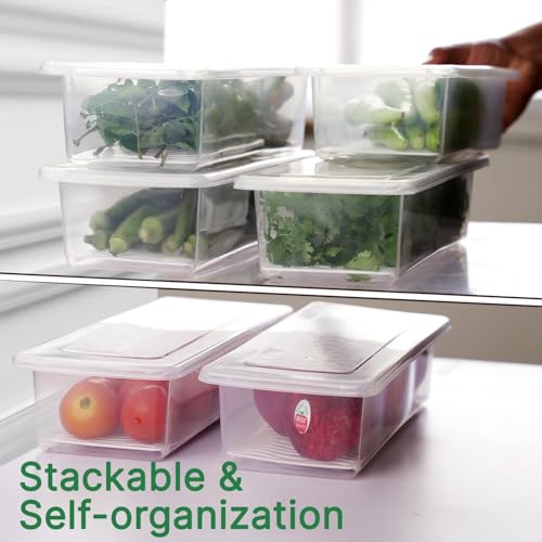 LEMBOSE Fridge Storage Containers