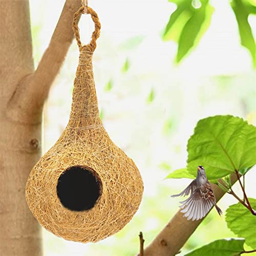 LIVEONCE Natural bhaya Bird nest