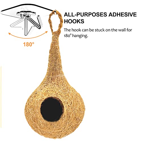 LIVEONCE Natural bhaya Bird nest