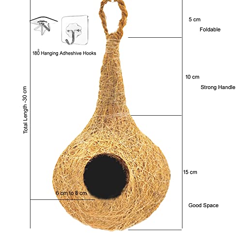 LIVEONCE Natural bhaya Bird nest
