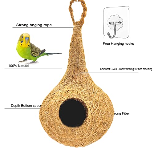 LIVEONCE Natural bhaya Bird nest
