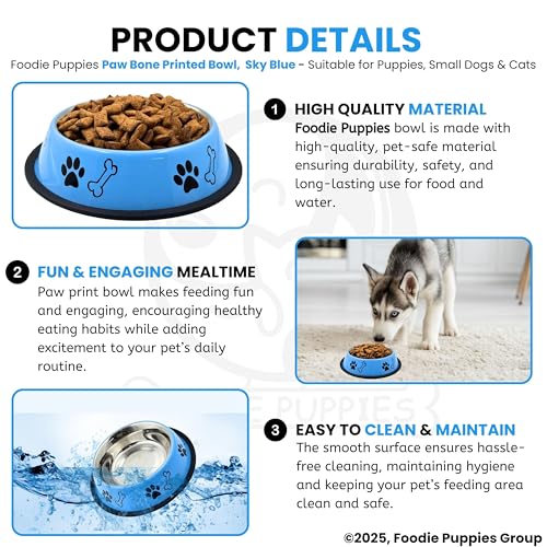 Foodie Puppies Stainless Steel Paw