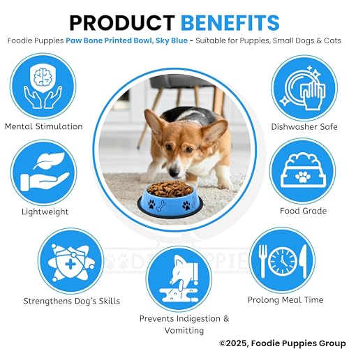 Foodie Puppies Stainless Steel Paw