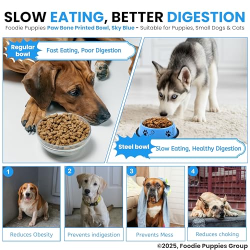Foodie Puppies Stainless Steel Paw