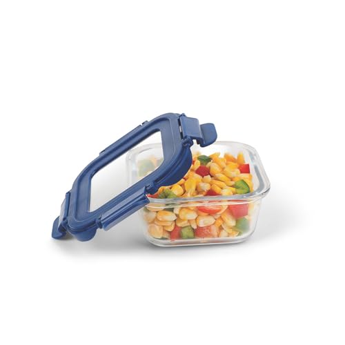 SignoraWare Secure N Store Borosilicate