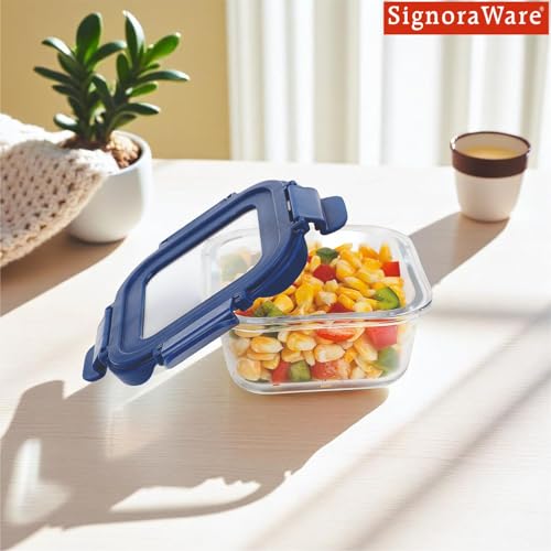 SignoraWare Secure N Store Borosilicate