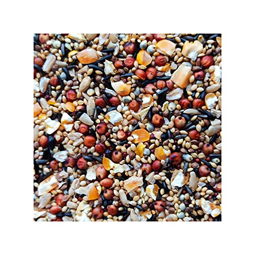 Happy Wings Mix Seed Wild