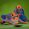 PRO KVH Plus 2.0 Cricket