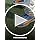 Puma Men Cricket HighRun Cricket Shoe - Image 7