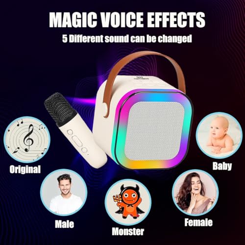 Wembley Rechargeable Karaoke Mic