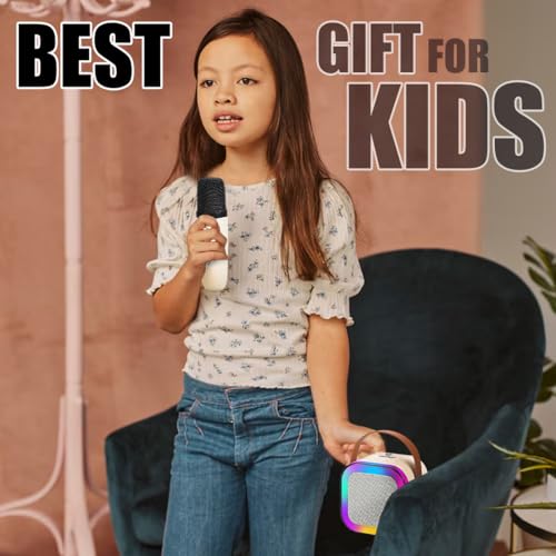 Wembley Rechargeable Karaoke Mic
