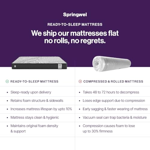 Springwel Embrace Orthopedic Memory Foam