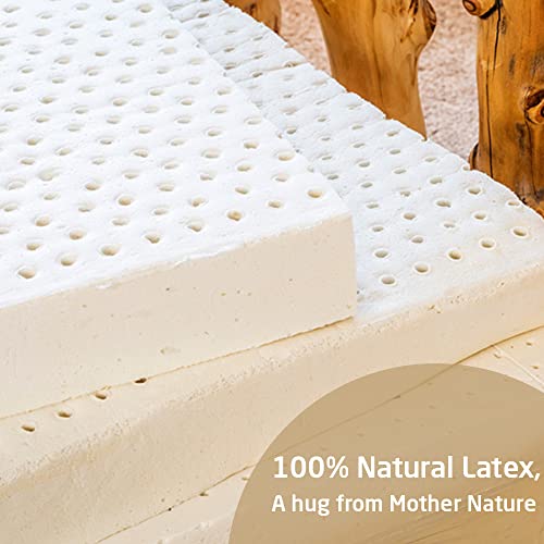 Livpure Smart Jeeva Natural Latex