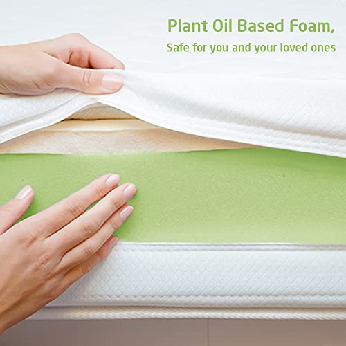 Livpure Smart Jeeva Natural Latex