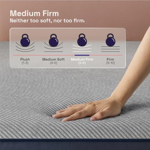 Wakefit Dual Comfort with Hard