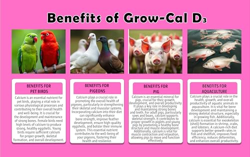 Growel Agrovet Grow – Cal