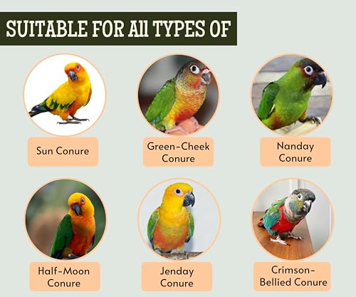 Foodie Puppies Bird Food