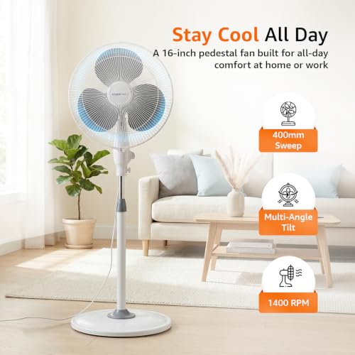 amazon basics 16-Inch Pedestal Fan