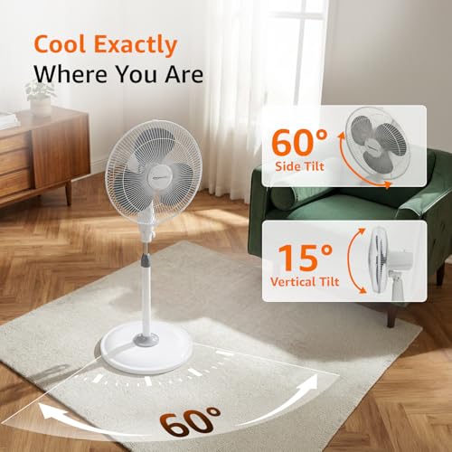 amazon basics 16-Inch Pedestal Fan