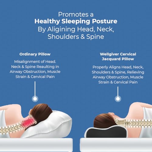 CareFoam Cervical Memory Foam Pillow