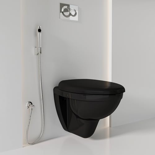 Kohler Patio Wall Mounted Toilet