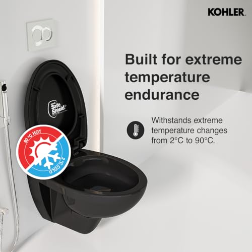 Kohler Patio Wall Mounted Toilet