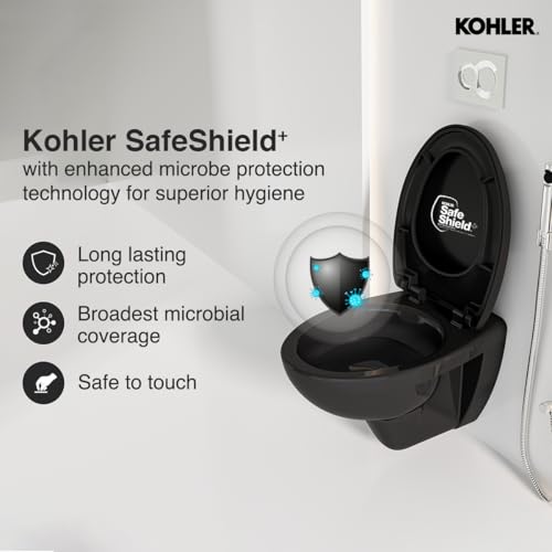 Kohler Patio Wall Mounted Toilet