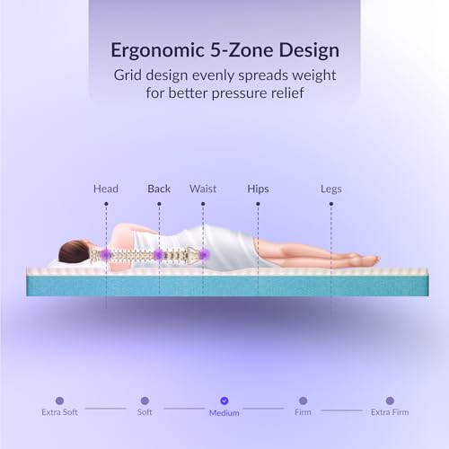 SleepyHug SpineX PRO 8 Inch