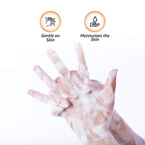 Amazon Brand - Solimo Handwash