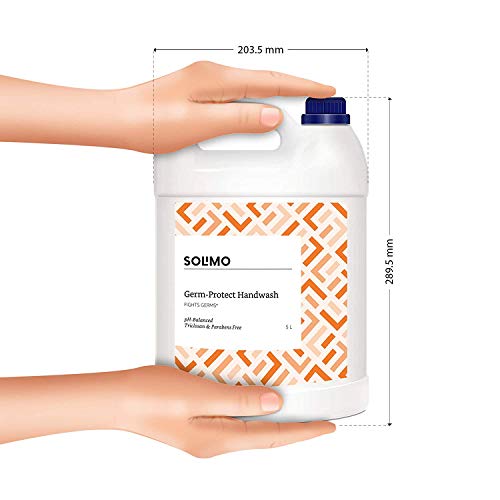 Amazon Brand - Solimo Handwash