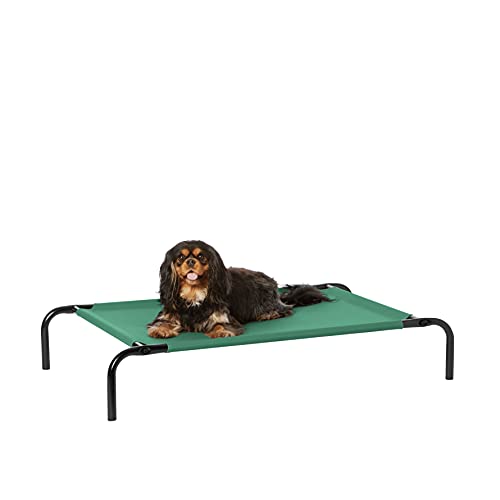 AmazonBasics Small Elevated Cooling Pet