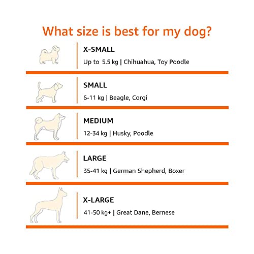 AmazonBasics Small Elevated Cooling Pet