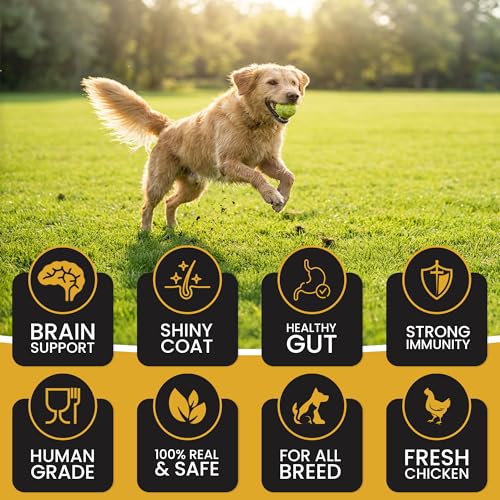 Dr. Pets Pack of 5