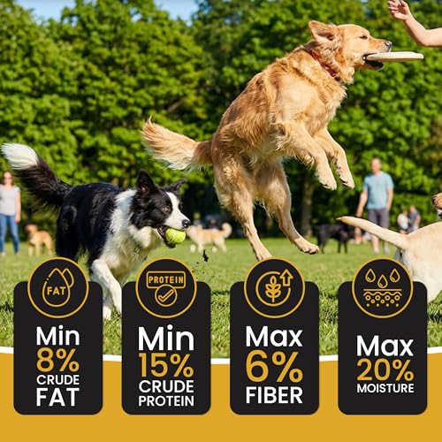 Dr. Pets Pack of 5