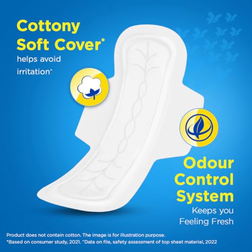 Stayfree Secure xl | Combo