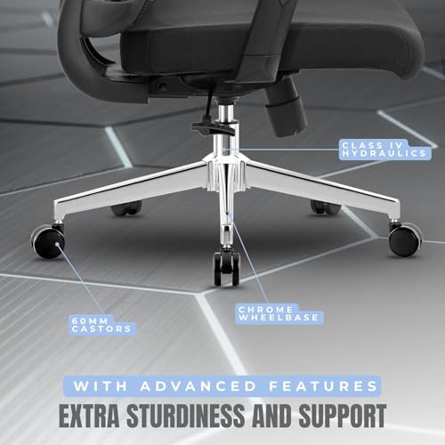 Spiralflex Ergonomic Office Chair