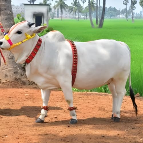 Farmer King MAT Cow/Buffalo/Bull/Horse Ghungroo